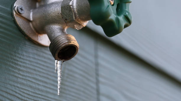 Best Local Plumber Services  in Monroeville, IN