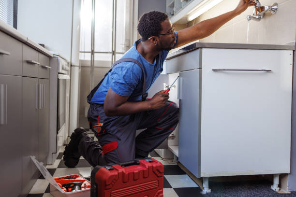 Best Commercial Plumbing Services  in Monroeville, IN