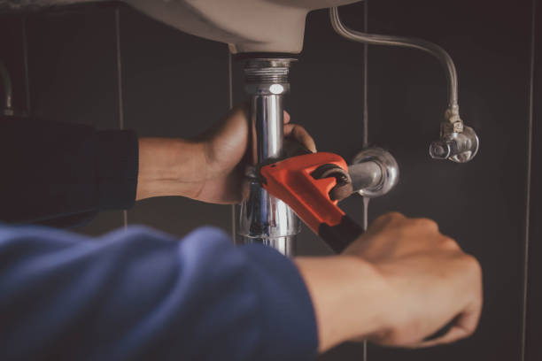Best Plumbing Inspection Services  in Monroeville, IN
